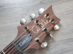 Guitar headstock with 'Paul Reed Smith' branding