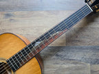 Breedlove Custom Shop "Trip Cascade" Concertina