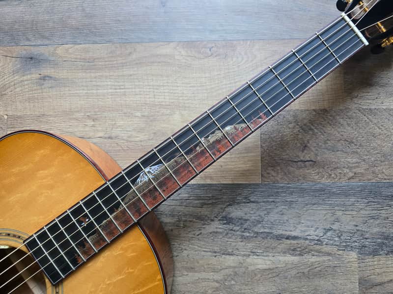 Breedlove Custom Shop "Trip Cascade" Concertina