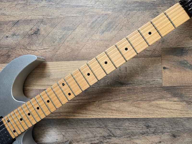 Ibanez Prestige RG-2570 / RG-550