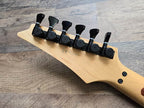 Ibanez Prestige RG-2570 / RG-550