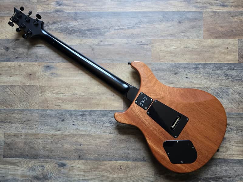 PRS Dustie Waring CE-24