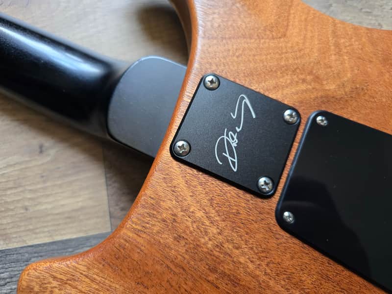 PRS Dustie Waring CE-24