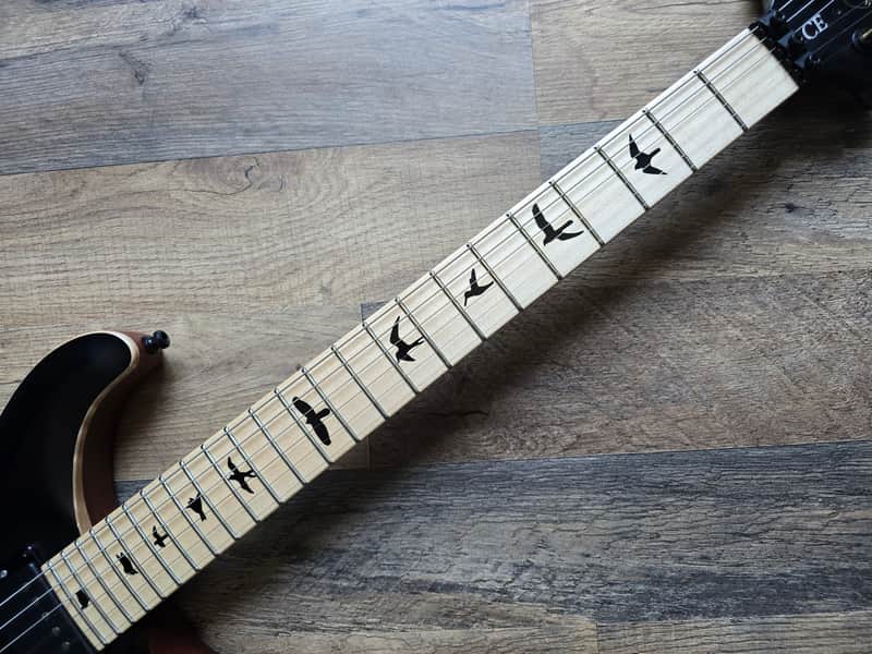 PRS Dustie Waring CE-24