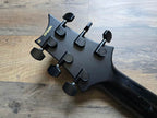 PRS Dustie Waring CE-24